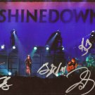 SHINEDOWN BAND SIGNED PHOTO 8X10 RP AUTOGRAPHED GROUP SHINEDOWN BAND SIGNED PHOTO 8X10 RP AUTOGRAPHED GROUP