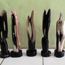 wood fossil craft