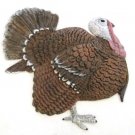 Turkey Tom | Refrigerator Magnet | Handpainted Magnets | Bird Magnets