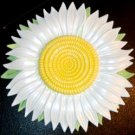 Daisy Refrigerator Magnet | Handpainted Magnets | Fruit Magnets