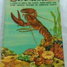 VTG 1955 SEASHORES Golden Nature Guide by Herbert S. Zim Paperback 1st Edition