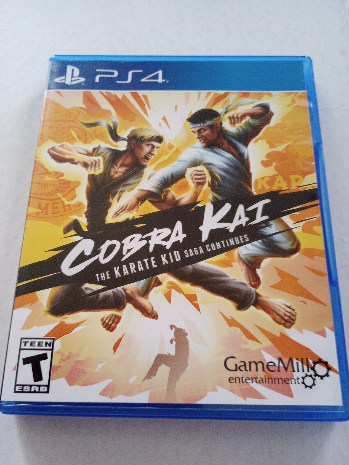 Cobra Kai Karate Kid Saga PS4 PlayStation 4 Game
