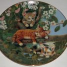 Cat Kitty Collector Plate Out Limb Tree Frisky Felines Jurgen Scholz Bradford
