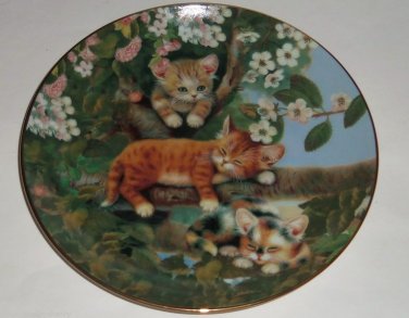 Cat Kitty Collector Plate Out Limb Tree Frisky Felines Jurgen Scholz Bradford