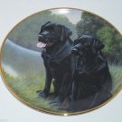 Black Labrador Lab Retriever Collector Plate Sporting Companions Franklin Mint Black Labrador Lab Retriever Collector Plate Sporting Companions Franklin Mint