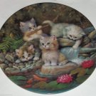 Cat Kitty Collector Lilly Pond Gold Fish Scholz Bradford Kitty Expedition German Cat Kitty Collector Lilly Pond Gold Fish Scholz Bradford Kitty Expedition German
