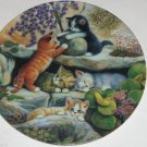 Cat Kitty Collector Climbing Rock Garden Scholz Bradford Kitty Expedition German Cat Kitty Collector Climbing Rock Garden Scholz Bradford Kitty Expedition German