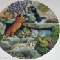 Cat Kitty Collector Climbing Rock Garden Scholz Bradford Kitty Expedition German