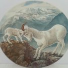 Mountain Goats Baby Collector Plate Gentle Persuasion Wildlife Hicks Knowles Vtg