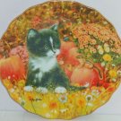 Cat Pumpkins Kitty Collector Plate Halloween Tiny Treasures Bradford Exchange Cat Pumpkins Kitty Collector Plate Halloween Tiny Treasures Bradford Exchange