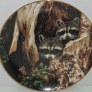 Racoon Plate Curious Pair Hamilton Collection Collector Retired Ron Parker 1988