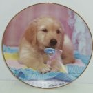 Golden Retriever Collector Plate Puppy Portraits Teething Time Hamilton Dog Golden Retriever Collector Plate Puppy Portraits Teething Time Hamilton Dog