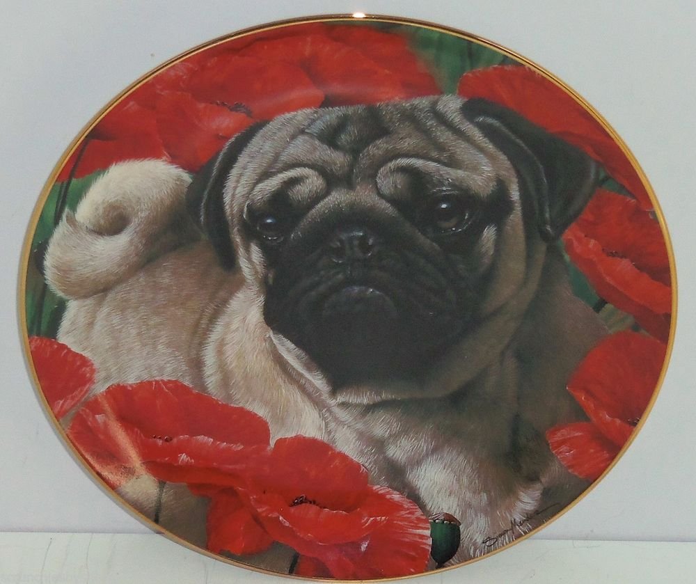 Poppy Love Pugs Pug Dog Collector Plate Danbury Mint Retired Limited
