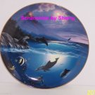Dolphin Kisses Collectors Plate Bradford Exchange Ocean Sealife Dolphin Kisses Collectors Plate Bradford Exchange Ocean Sealife
