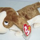 Tracker Dog Ty Beanie Baby Babies 1998 Tracker Dog Ty Beanie Baby Babies 1998