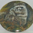 Racoon Baby Collector Plate Protective Embrace Wildlife Hicks Knowles Vintage Racoon Baby Collector Plate Protective Embrace Wildlife Hicks Knowles Vintage