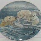Polar Bears Baby Collector Plate Tender Coaxing Wildlife Hicks Knowles Vintage