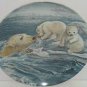 Polar Bears Baby Collector Plate Tender Coaxing Wildlife Hicks Knowles Vintage