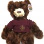Florida State Seminoles Plush Bear Dexter Chelsea Teddy Bear Company New