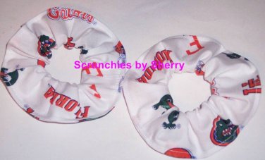 Florida Gators White Fabric Mini Hair Scrunchies by Sherry Scrunchie NCAA Set of 2