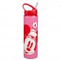 Disney Store Water Bottle Stainless Steel Drink Straw Minnie Mouse