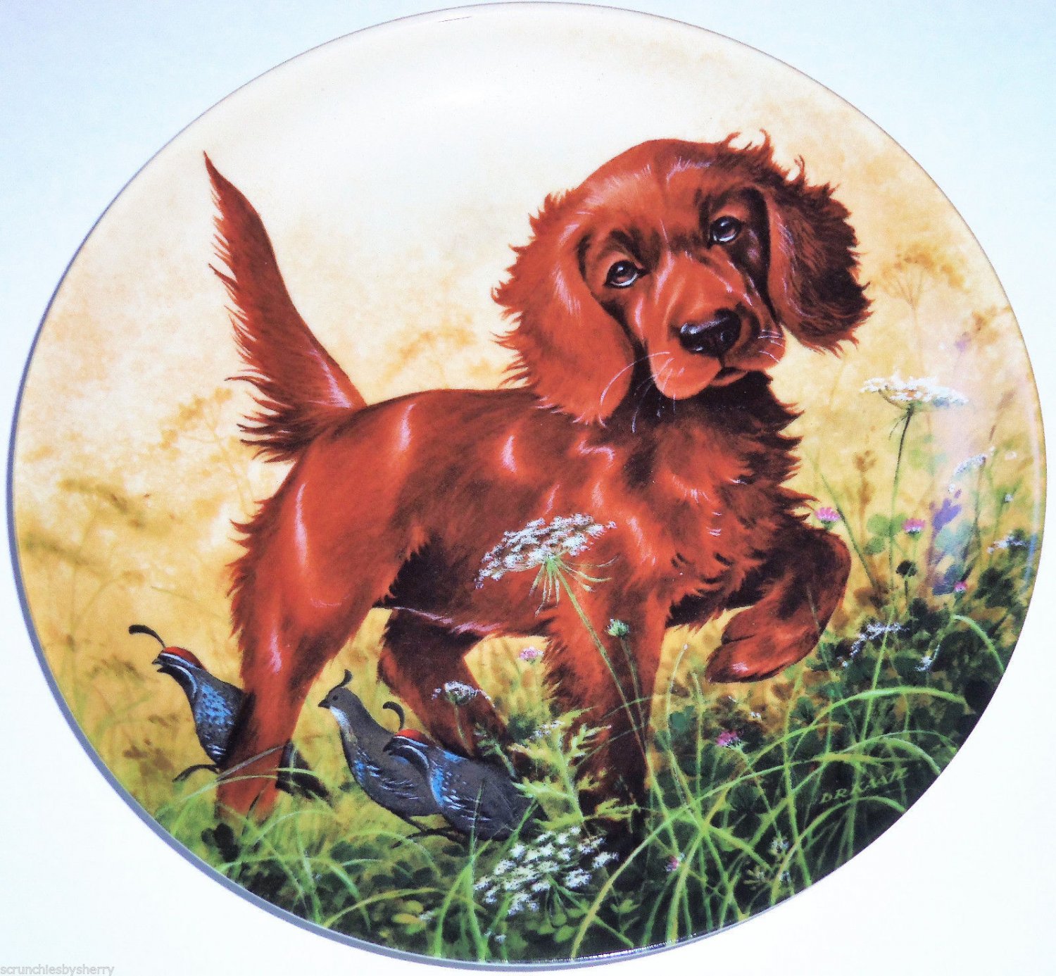 Irish Setter Collector Plate 1988 Missing the Point United Kennel Club COA
