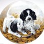 English Setters Collector Plate 1989 Fine Feathered Friends Kennel Club COA