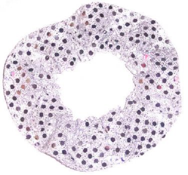 Sterling Silver Sequin Dots Fabric Hair Scrunchis Scrunchies by Sherry