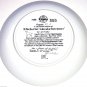Labrador Retrievers Collector Plate 1988 A Perfect Set United Kennel Club COA