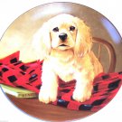 Cocker Spaniel Collector Plate 1988 Shirt Tails United Kennel Club COA Cocker Spaniel Collector Plate 1988 Shirt Tails United Kennel Club COA