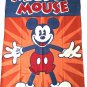 Disney Mickey Mouse Fleece Throw Blanket and Cinch Sack Backpack Theme Parks
