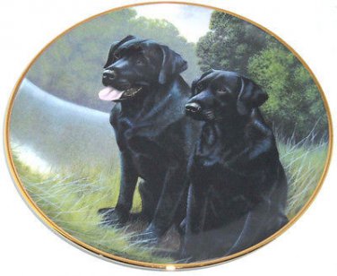 Black Labrador Lab Retriever Collector Plate Sporting Companions Franklin Mint