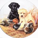 Labrador Retrievers Collector Plate 1988 A Perfect Set United Kennel Club COA Labrador Retrievers Collector Plate 1988 A Perfect Set United Kennel Club COA