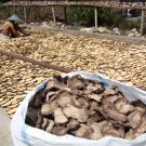 Chips porang/konjac/konnyaku