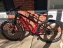 Ebike
