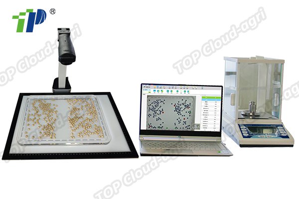 Intelligent Seed Shape Analysis System