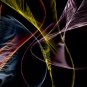 Screensavers Collection for Windows CD