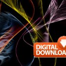 Screensavers Collection for Windows Digital Download