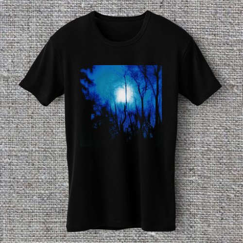 Flying Saucer Attack Further post-rock Jessamine labradford T-shirt S M L XL 2XL