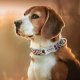 Raggystylzs Dog collars