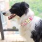 Raggy Stylz's Customized Floral Print Personalized Dog Collar