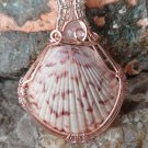 Handcrafted Wire Wrapped Scallop Seashell Pendant