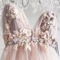 Pink Party Dress V Neck Evening Dress Tulle Applique Long Prom Dress Graduation Dress Formal Gowns