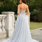 A-Line/Princess Tulle Applique Sweetheart Sleeveless Court Train Dresses