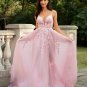 A-Line/Princess Tulle Applique V-neck Sleeveless Court Train Dresses