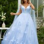 A-Line/Princess Tulle Applique V-neck Sleeveless Sweep/Brush Train Dresses