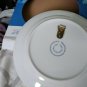 New Great Olympics Souvenir Plate Sochi 2014-------SKI-------