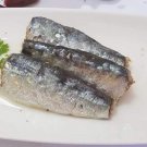 Moroccan Sardines distributors,