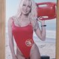 Pamela Anderson - metal hanging wall sign NEW