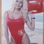 Pamela Anderson - metal hanging wall sign NEW